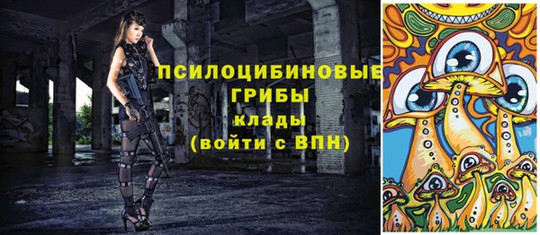 гидропоника Белокуриха