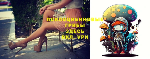гидропоника Белокуриха