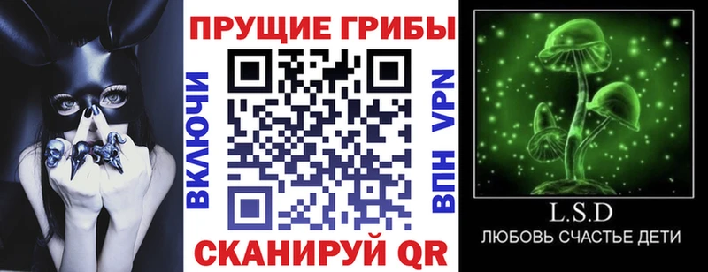 купить наркотик  Мценск  Галлюциногенные грибы GOLDEN TEACHER 